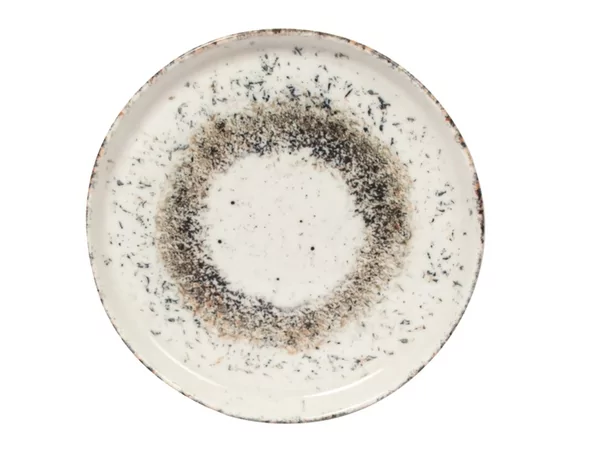 Gural Galaxy flat plate Ø290mm