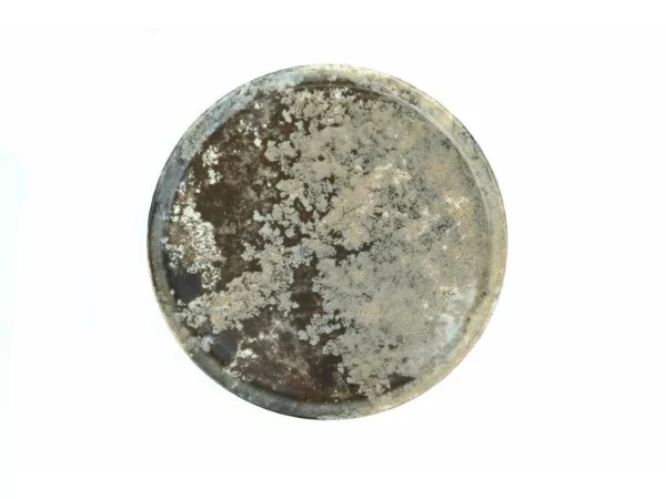 Gural Forest bord D210mm
