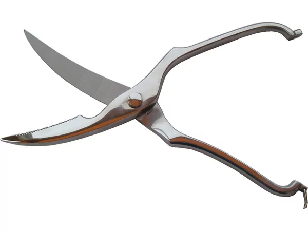 Pintinox Ciseau de volaille inox massif sur commande