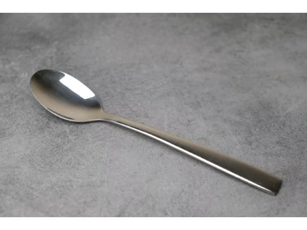 Terra 18/8 tafellepel L209xH2,5mm