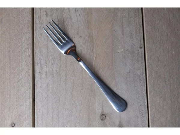 Take Away table fork 18/0 2mm 20cm