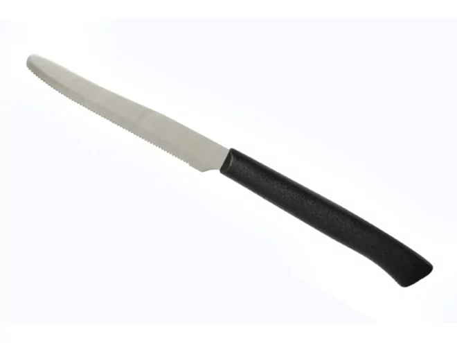Pintinox couteau steak/table arrondi manche noir L219mm