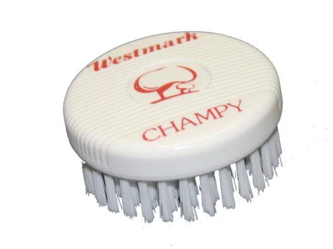 Mushroom cleaning brush
