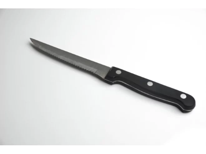 Pintinox Couteau à steak avec manche look en bois L221mm