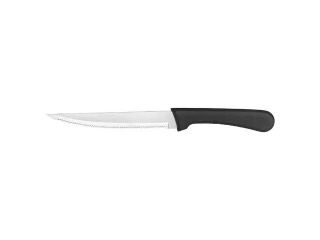 Gastropro budget steak knife L215mm