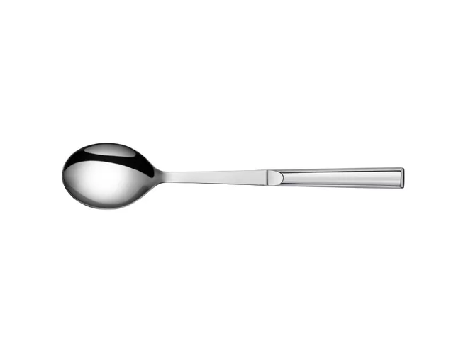 Gastropro inox dienlepel/serveerlepel L300xB60mm